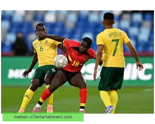 2025非洲杯因赛程调整推迟举办引发广泛关注